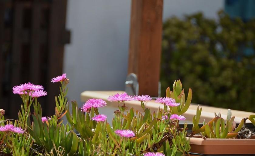 마카리 Casa Ambra B&B 외부 사진